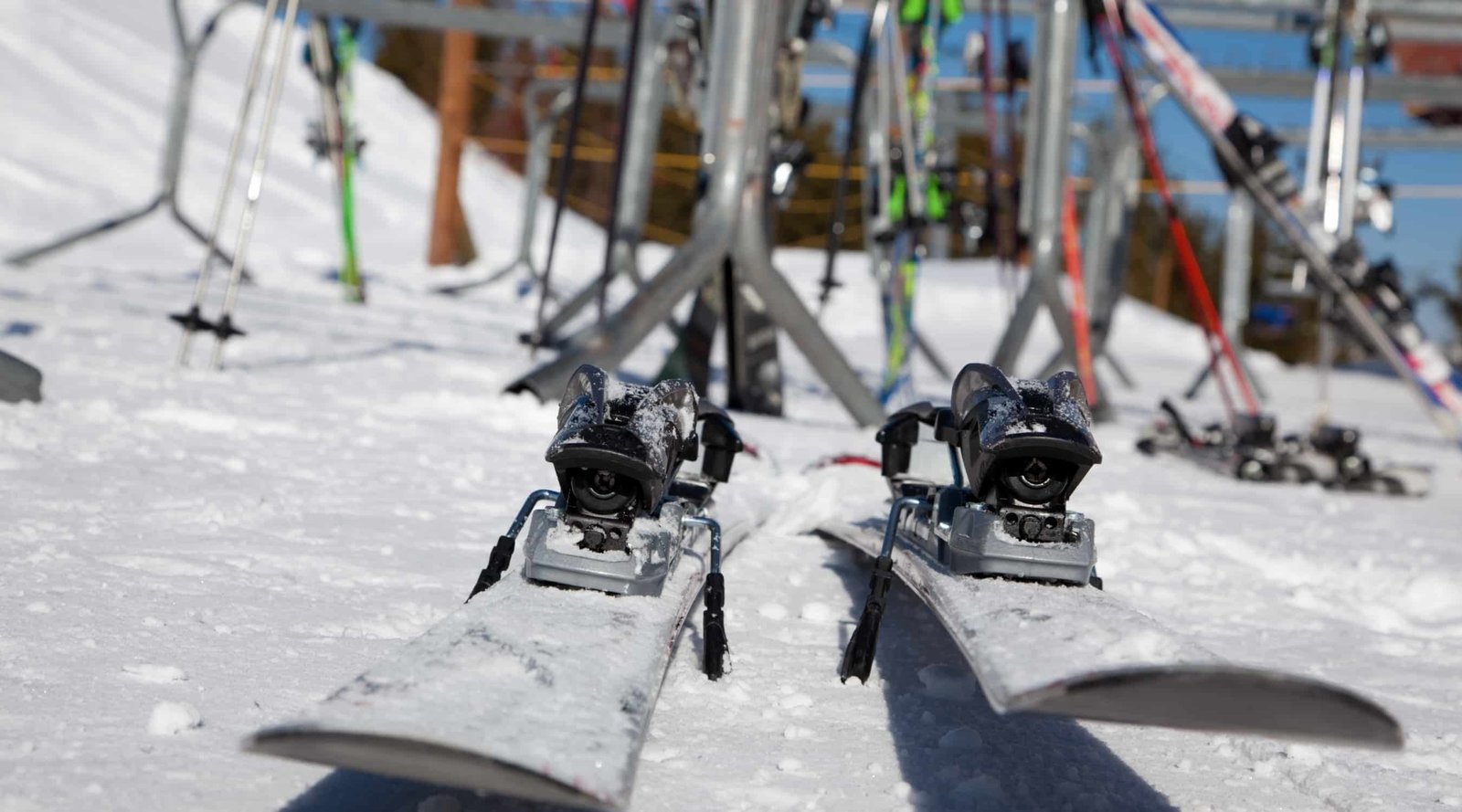 Vergleich Skibindung