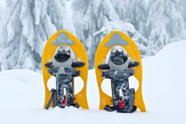 schneeschuhe vergleich